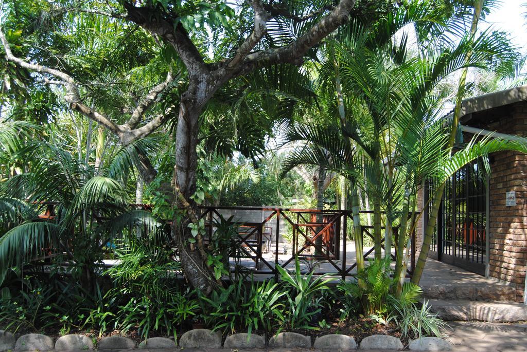 African Dreamz Guest House เซนต์ลูเซีย ภายนอก รูปภาพ